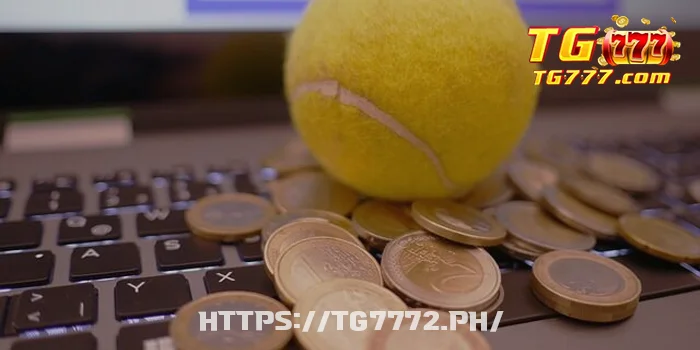 What is a VIP Sports Betting Experience?