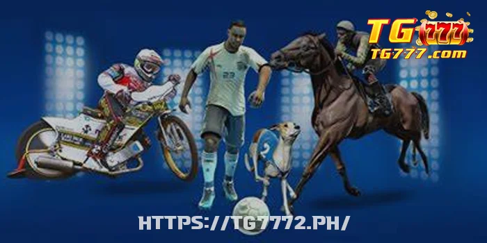 Future of Virtual Betting