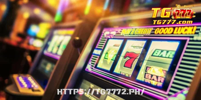 Casino Formats Compared